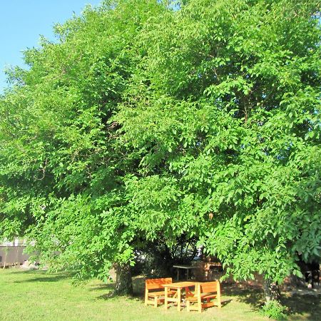 Pod Orehi Panzió Postojna Kültér fotó