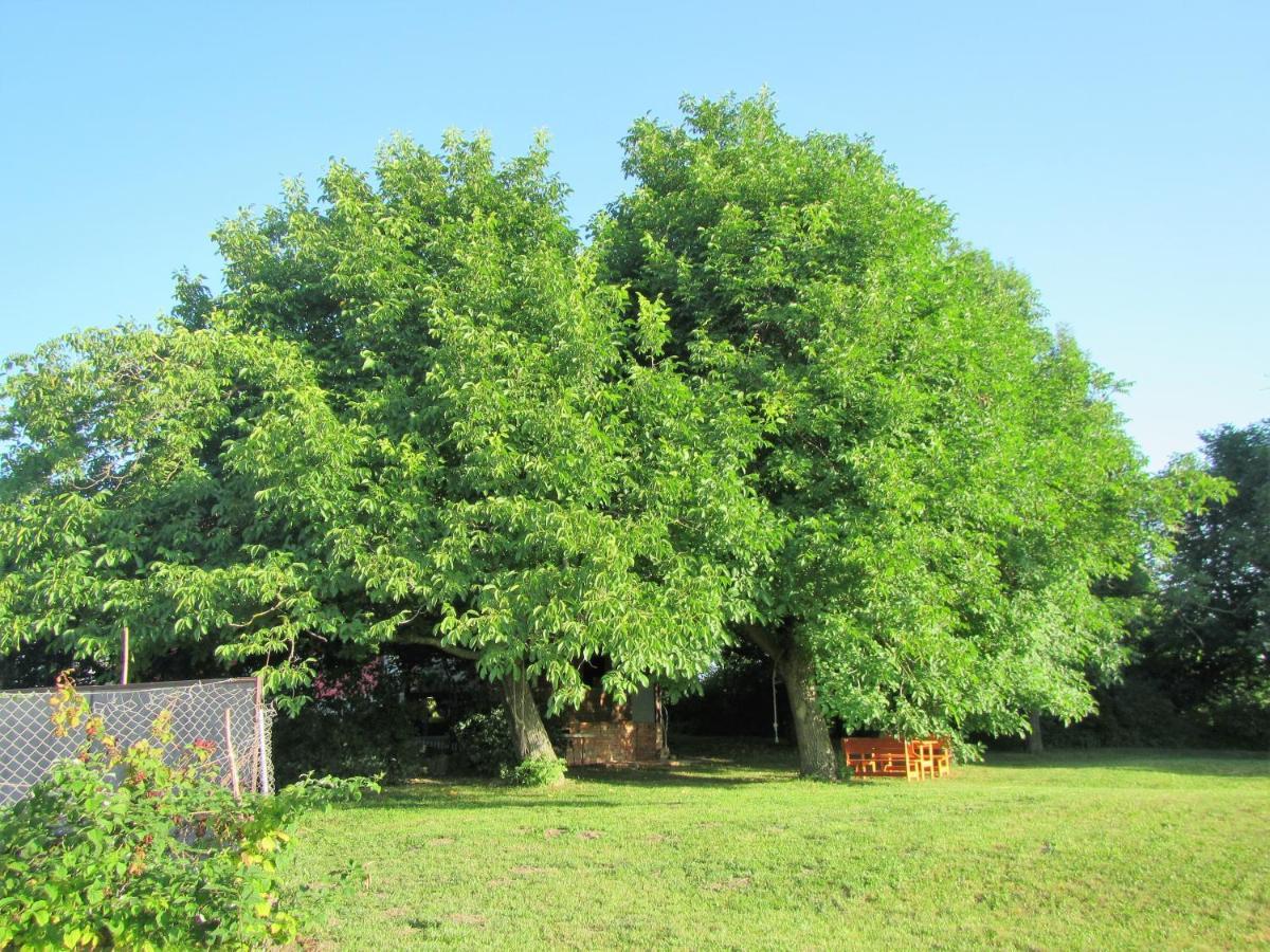 Pod Orehi Panzió Postojna Kültér fotó