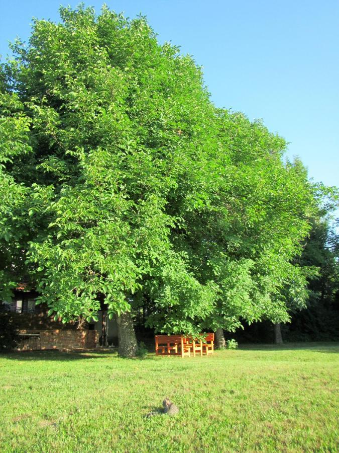 Pod Orehi Panzió Postojna Kültér fotó